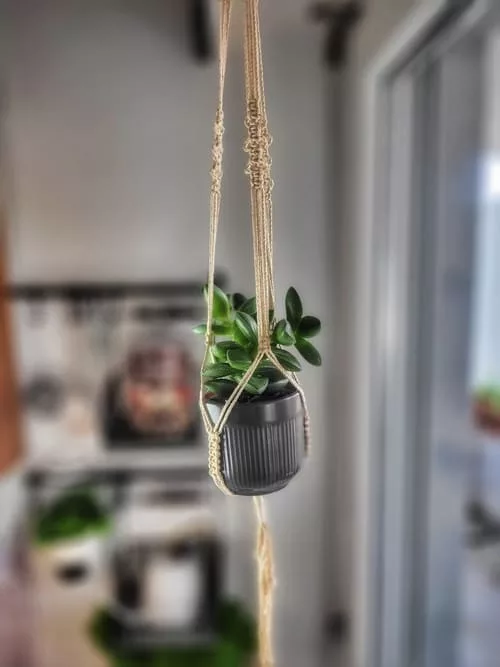 Elegantes Mini Makramee